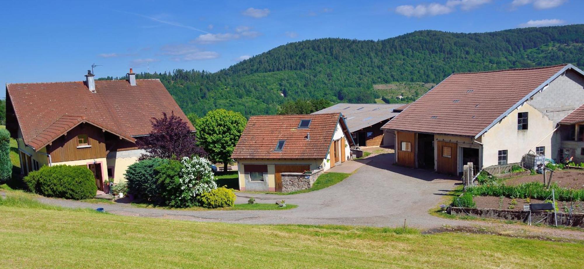 Chambres D'Hotes Hebergement F.Mathieu Saint-Maurice-sur-Moselle Exterior photo